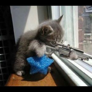 Meet your Posher, Averie